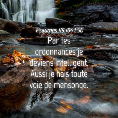 Picture 04 - Psaumes 119:104 LSG - Par tes ordonnances je deviens intelligent, Aussi - Bible Verse Picture