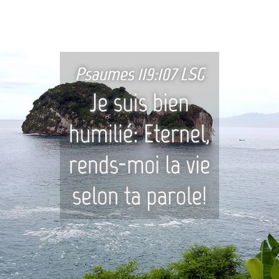 Picture 04 - Psaumes 119:107 LSG - Je suis bien humilié: Eternel, rends-moi la vie - Bible Verse Picture