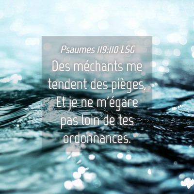 Picture 04 - Psaumes 119:110 LSG - Des méchants me tendent des pièges, Et je ne - Bible Verse Picture