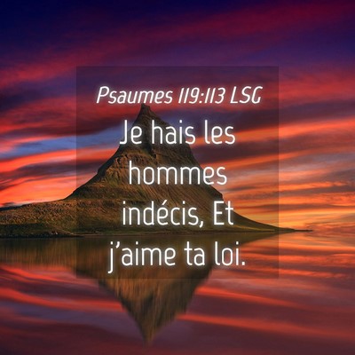 Picture 04 - Psaumes 119:113 LSG - Je hais les hommes indécis, Et j'aime ta - Bible Verse Picture