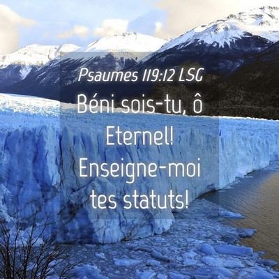 Picture 04 - Psaumes 119:12 LSG - Béni sois-tu, ô Eternel! Enseigne-moi tes - Bible Verse Picture