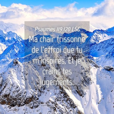 Picture 04 - Psaumes 119:120 LSG - Ma chair frissonne de l'effroi que tu m'inspires, - Bible Verse Picture
