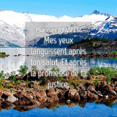 Picture 04 - Psaumes 119:123 LSG - Mes yeux languissent après ton salut, Et après - Bible Verse Picture