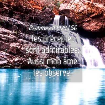 Picture 04 - Psaumes 119:129 LSG - Tes préceptes sont admirables: Aussi mon âme - Bible Verse Picture