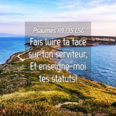 Picture 04 - Psaumes 119:135 LSG - Fais luire ta face sur ton serviteur, Et - Bible Verse Picture