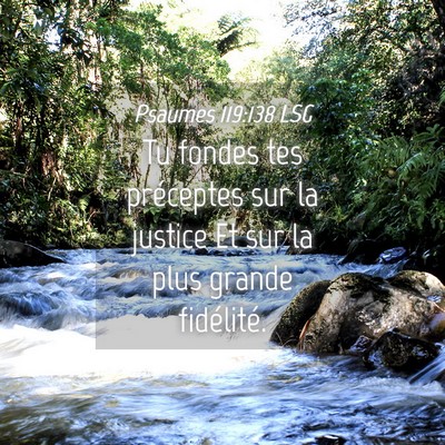 Picture 04 - Psaumes 119:138 LSG - Tu fondes tes préceptes sur la justice Et sur la - Bible Verse Picture