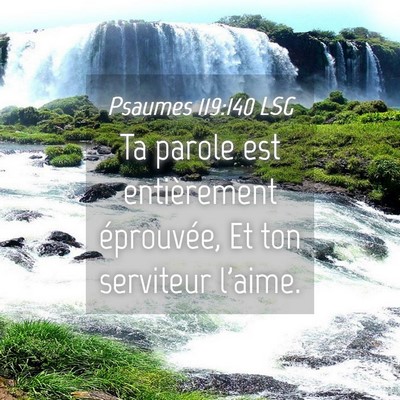 Picture 04 - Psaumes 119:140 LSG - Ta parole est entièrement éprouvée, Et ton - Bible Verse Picture