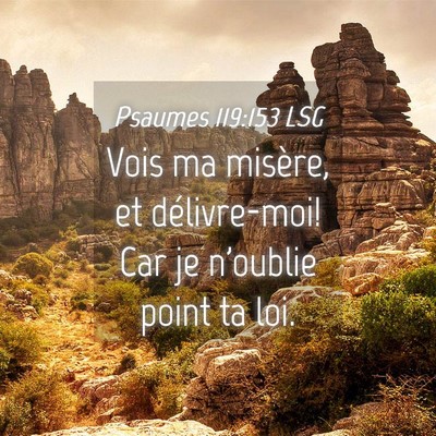 Picture 04 - Psaumes 119:153 LSG - Vois ma misère, et délivre-moi! Car je n'oublie - Bible Verse Picture