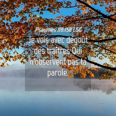 Picture 04 - Psaumes 119:158 LSG - Je vois avec dégoût des traîtres Qui - Bible Verse Picture