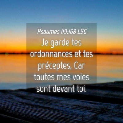 Picture 04 - Psaumes 119:168 LSG - Je garde tes ordonnances et tes préceptes, Car - Bible Verse Picture
