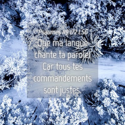 Picture 04 - Psaumes 119:172 LSG - Que ma langue chante ta parole! Car tous tes - Bible Verse Picture