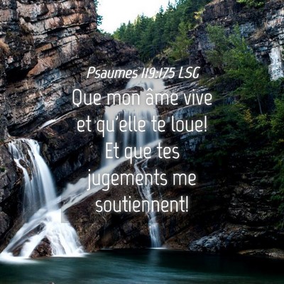 Picture 04 - Psaumes 119:175 LSG - Que mon âme vive et qu'elle te loue! Et que tes - Bible Verse Picture
