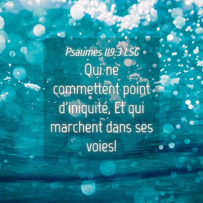 Picture 04 - Psaumes 119:3 LSG - Qui ne commettent point d'iniquité, Et qui - Bible Verse Picture