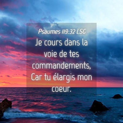 Picture 04 - Psaumes 119:32 LSG - Je cours dans la voie de tes commandements, Car - Bible Verse Picture