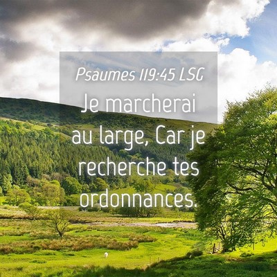 Picture 04 - Psaumes 119:45 LSG - Je marcherai au large, Car je recherche tes - Bible Verse Picture