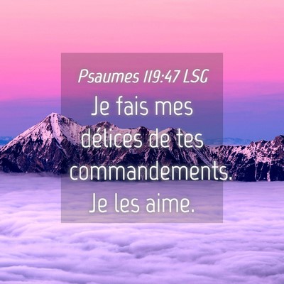 Picture 04 - Psaumes 119:47 LSG - Je fais mes délices de tes commandements. Je les - Bible Verse Picture