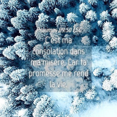 Picture 04 - Psaumes 119:50 LSG - C'est ma consolation dans ma misère, Car ta - Bible Verse Picture
