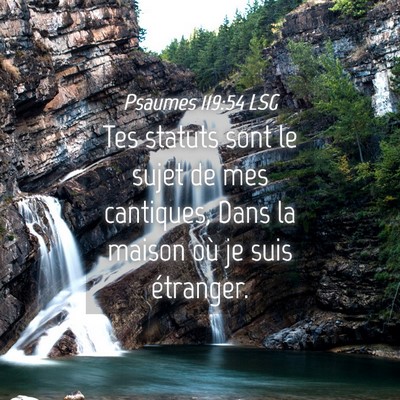 Picture 04 - Psaumes 119:54 LSG - Tes statuts sont le sujet de mes cantiques, Dans - Bible Verse Picture