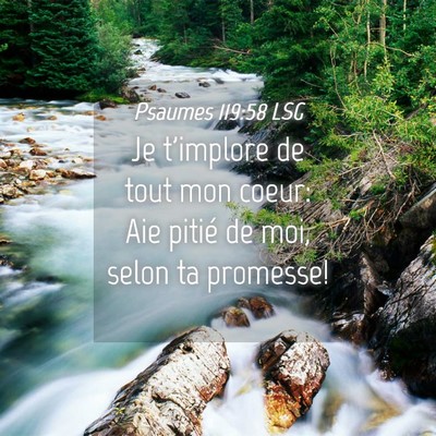 Picture 04 - Psaumes 119:58 LSG - Je t'implore de tout mon coeur: Aie pitié de - Bible Verse Picture