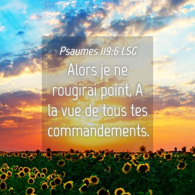 Picture 04 - Psaumes 119:6 LSG - Alors je ne rougirai point, A la vue de tous tes - Bible Verse Picture