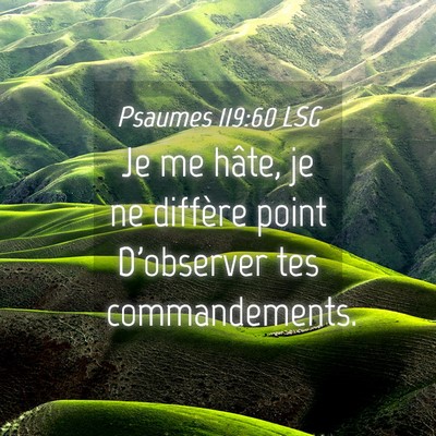 Picture 04 - Psaumes 119:60 LSG - Je me hâte, je ne diffère point D'observer tes - Bible Verse Picture