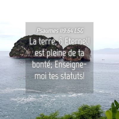 Picture 04 - Psaumes 119:64 LSG - La terre, ô Eternel! est pleine de ta bonté; - Bible Verse Picture