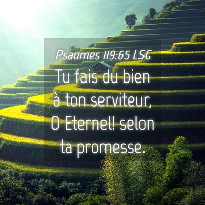 Picture 04 - Psaumes 119:65 LSG - Tu fais du bien à ton serviteur, O Eternel! - Bible Verse Picture