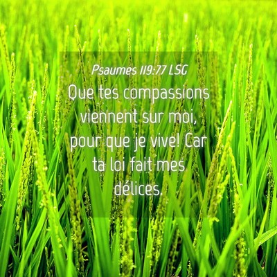 Picture 04 - Psaumes 119:77 LSG - Que tes compassions viennent sur moi, pour que je - Bible Verse Picture