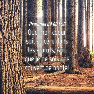 Picture 04 - Psaumes 119:80 LSG - Que mon coeur soit sincère dans tes statuts, - Bible Verse Picture