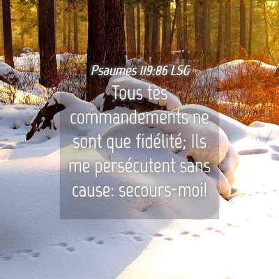 Picture 04 - Psaumes 119:86 LSG - Tous tes commandements ne sont que fidélité; - Bible Verse Picture