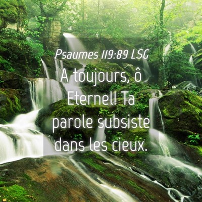Picture 04 - Psaumes 119:89 LSG - A toujours, ô Eternel! Ta parole subsiste dans - Bible Verse Picture