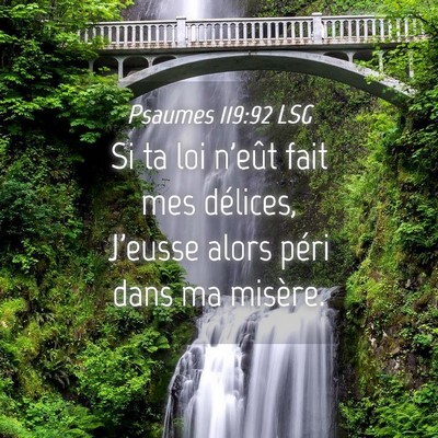Picture 04 - Psaumes 119:92 LSG - Si ta loi n'eût fait mes délices, J'eusse alors - Bible Verse Picture