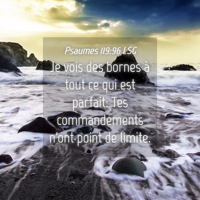 Picture 04 - Psaumes 119:96 LSG - Je vois des bornes à tout ce qui est parfait: - Bible Verse Picture