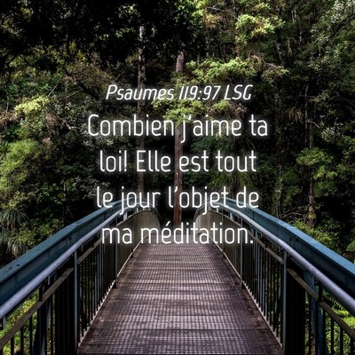 Picture 04 - Psaumes 119:97 LSG - Combien j'aime ta loi! Elle est tout le jour - Bible Verse Picture