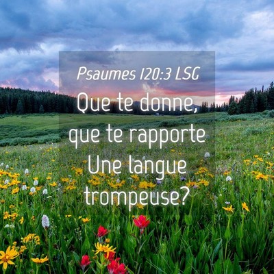 Picture 04 - Psaumes 120:3 LSG - Que te donne, que te rapporte Une langue - Bible Verse Picture