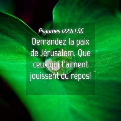 Picture 04 - Psaumes 122:6 LSG - Demandez la paix de Jérusalem. Que ceux qui - Bible Verse Picture