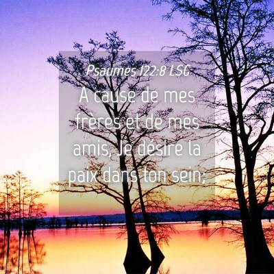 Picture 04 - Psaumes 122:8 LSG - A cause de mes frères et de mes amis, Je désire - Bible Verse Picture