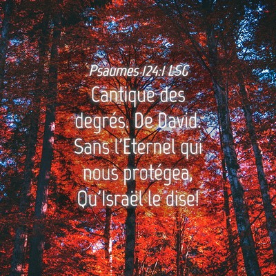 Picture 04 - Psaumes 124:1 LSG - Cantique des degrés. De David. Sans l'Eternel - Bible Verse Picture
