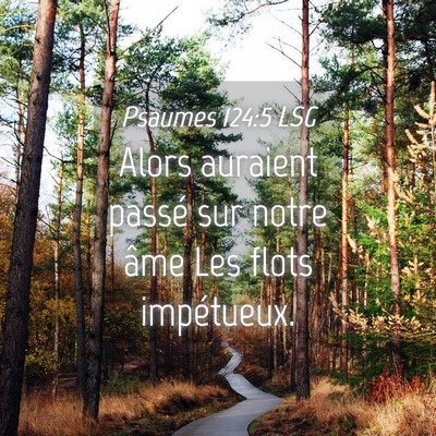 Picture 04 - Psaumes 124:5 LSG - Alors auraient passé sur notre âme Les flots - Bible Verse Picture