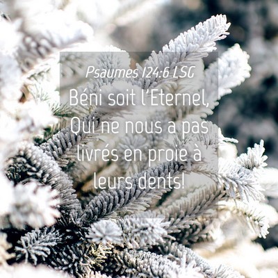 Picture 04 - Psaumes 124:6 LSG - Béni soit l'Eternel, Qui ne nous a pas livrés - Bible Verse Picture