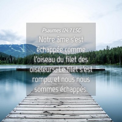 Picture 04 - Psaumes 124:7 LSG - Notre âme s'est échappée comme l'oiseau du - Bible Verse Picture