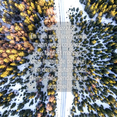 Picture 04 - Psaumes 127:2 LSG - En vain vous levez-vous matin, vous couchez-vous - Bible Verse Picture