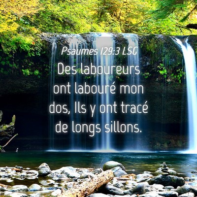 Picture 04 - Psaumes 129:3 LSG - Des laboureurs ont labouré mon dos, Ils y ont - Bible Verse Picture