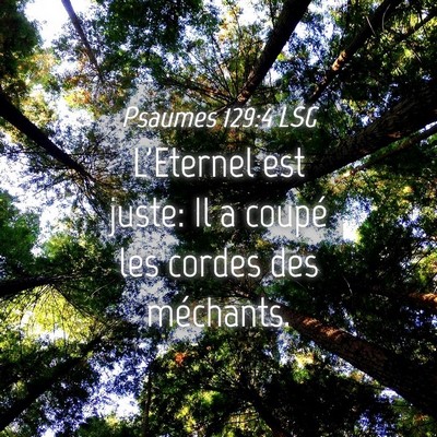 Picture 04 - Psaumes 129:4 LSG - L'Eternel est juste: Il a coupé les cordes des - Bible Verse Picture