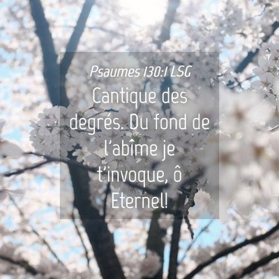 Picture 04 - Psaumes 130:1 LSG - Cantique des degrés. Du fond de l'abîme je - Bible Verse Picture