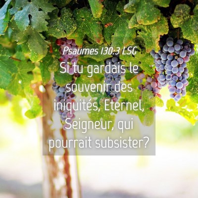 Picture 04 - Psaumes 130:3 LSG - Si tu gardais le souvenir des iniquités, - Bible Verse Picture