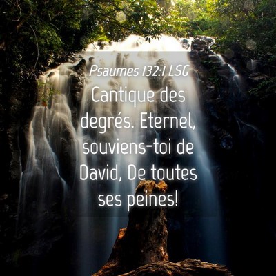 Picture 04 - Psaumes 132:1 LSG - Cantique des degrés. Eternel, souviens-toi de - Bible Verse Picture