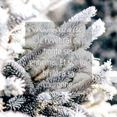 Picture 04 - Psaumes 132:18 LSG - Je revêtirai de honte ses ennemis, Et sur lui - Bible Verse Picture