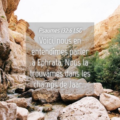 Picture 04 - Psaumes 132:6 LSG - Voici, nous en entendîmes parler à Ephrata, - Bible Verse Picture