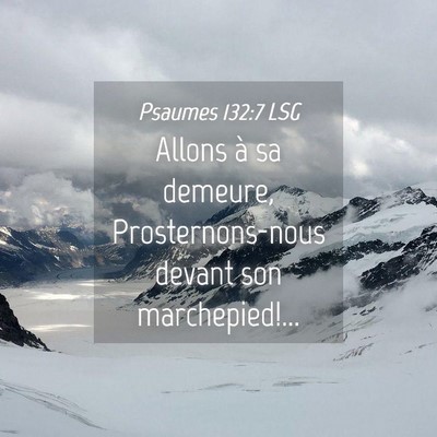 Picture 04 - Psaumes 132:7 LSG - Allons à sa demeure, Prosternons-nous devant son - Bible Verse Picture